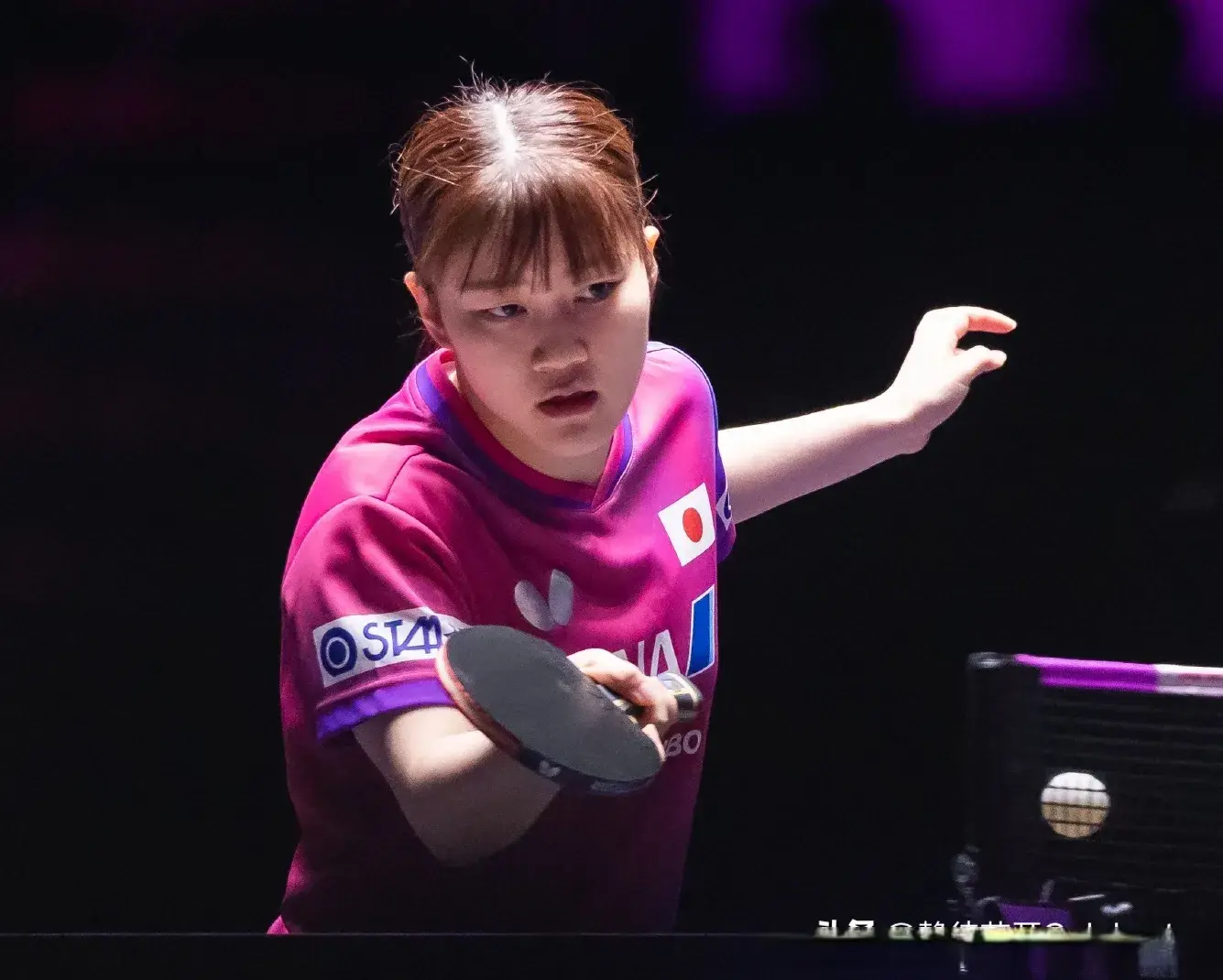 斯佐科斯之, 国乒占两席, 国乒占