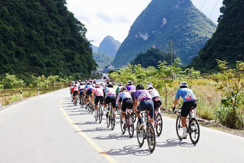 巴马的长寿, img, 盛事